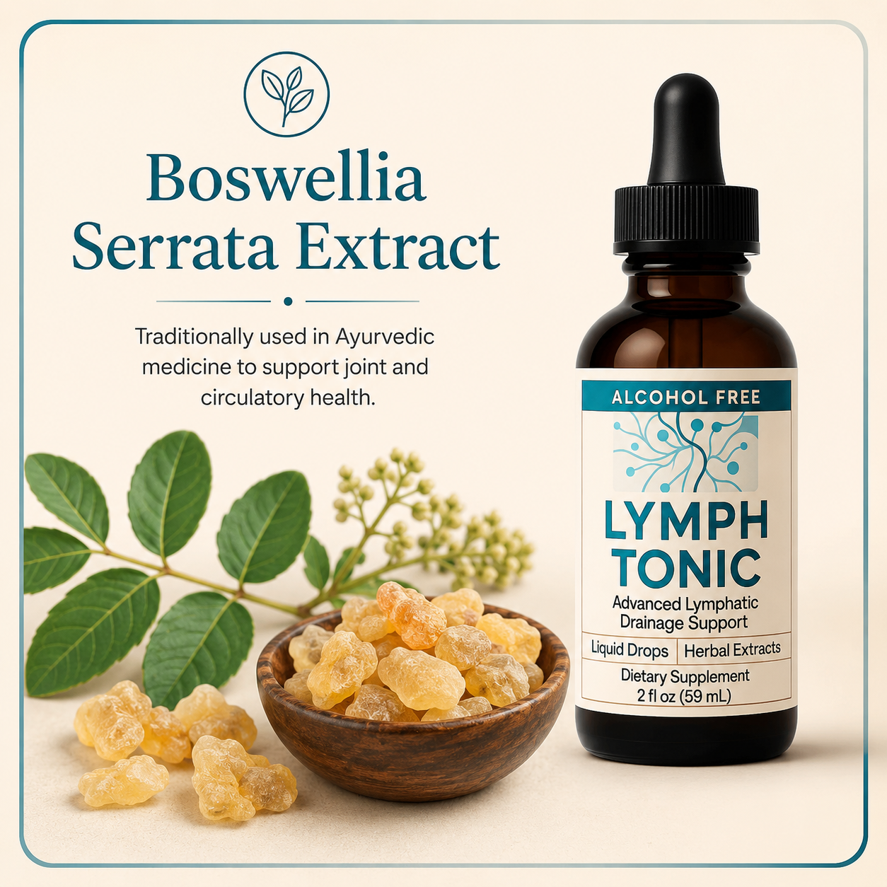 Lymph Tonic ingredient Boswellia Serrata Extract